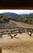 Туры в отель Domaine Riberach – Hotel 4* - Restaurant gastronomique - Spa - Piscine - Vignoble Туры в отель Domaine Riberach – Hotel 4* - Restaurant gastronomique - Spa - Piscine - Vignoble