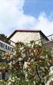 Туры в отель Domaine Riberach – Hotel 4* - Restaurant gastronomique - Spa - Piscine - Vignoble Туры в отель Domaine Riberach – Hotel 4* - Restaurant gastronomique - Spa - Piscine - Vignoble