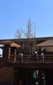 Туры в отель Bhumisiri Hill Khaoyai Туры в отель Bhumisiri Hill Khaoyai
