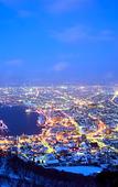Туры в отель Toyoko Inn Hokkaido Hakodate Ekimae Daimon Туры в отель Toyoko Inn Hokkaido Hakodate Ekimae Daimon