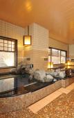 Туры в отель Dormy Inn Obihiro Natural Hot Spring Туры в отель Dormy Inn Obihiro Natural Hot Spring