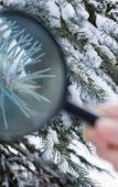 Туры в отель Hoshino Resorts KAI Alps Туры в отель Hoshino Resorts KAI Alps