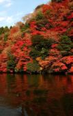Туры в отель Kameyama Onsen Hotel Туры в отель Kameyama Onsen Hotel