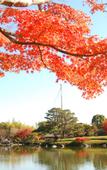 Туры в отель Tachikawa Washington Hotel Туры в отель Tachikawa Washington Hotel