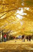 Туры в отель Tachikawa Washington Hotel Туры в отель Tachikawa Washington Hotel