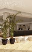 Туры в отель Palladium Hotel Menorca Туры в отель Palladium Hotel Menorca