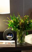 Туры в отель Rydges Wellington Airport Туры в отель Rydges Wellington Airport