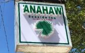 Туры в отель Anahaw Seaside Inn Туры в отель Anahaw Seaside Inn