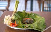 Туры в отель Mai Chau Mountain View Resort Туры в отель Mai Chau Mountain View Resort