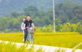 Туры в отель Mai Chau Mountain View Resort Туры в отель Mai Chau Mountain View Resort