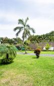 Туры в отель Capital O Hotel Los Caracoles, Acapulco Туры в отель Capital O Hotel Los Caracoles, Acapulco