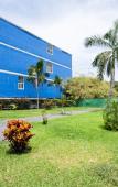 Туры в отель Capital O Hotel Los Caracoles, Acapulco Туры в отель Capital O Hotel Los Caracoles, Acapulco