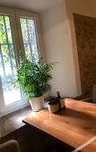Туры в отель Hotel La Muralla Туры в отель Hotel La Muralla