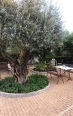 Туры в отель Hotel La Muralla Туры в отель Hotel La Muralla