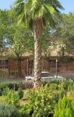 Туры в отель Hotel La Muralla Туры в отель Hotel La Muralla