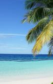 Туры в отель Sri Lankan Villa Туры в отель Sri Lankan Villa