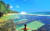 Туры в отель Sri Lankan Villa Туры в отель Sri Lankan Villa