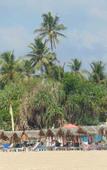 Туры в отель Sri Lankan Villa Туры в отель Sri Lankan Villa