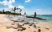 Туры в отель Sri Lankan Villa Туры в отель Sri Lankan Villa