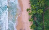 Туры в отель Sri Lankan Villa Туры в отель Sri Lankan Villa