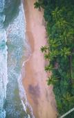 Туры в отель Sri Lankan Villa Туры в отель Sri Lankan Villa