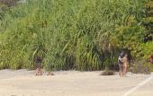 Туры в отель Sri Lankan Villa Туры в отель Sri Lankan Villa