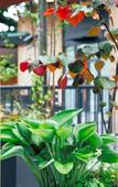 Туры в отель Hotel Karuizawa Cross Туры в отель Hotel Karuizawa Cross