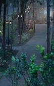 Туры в отель Coorg Wilderness Resort & Spa Туры в отель Coorg Wilderness Resort & Spa