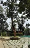 Туры в отель Coorg Wilderness Resort & Spa Туры в отель Coorg Wilderness Resort & Spa