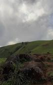 Туры в отель Coorg Wilderness Resort & Spa Туры в отель Coorg Wilderness Resort & Spa