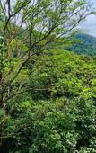 Туры в отель Coorg Wilderness Resort & Spa Туры в отель Coorg Wilderness Resort & Spa
