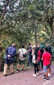 Туры в отель Coorg Wilderness Resort & Spa Туры в отель Coorg Wilderness Resort & Spa