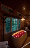Туры в отель Coorg Wilderness Resort & Spa Туры в отель Coorg Wilderness Resort & Spa