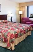 Туры в отель Knott's Berry Farm Resort Туры в отель Knott's Berry Farm Resort