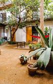 Туры в отель Hotel con Corazon Oaxaca Туры в отель Hotel con Corazon Oaxaca