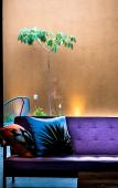 Туры в отель Hotel con Corazon Oaxaca Туры в отель Hotel con Corazon Oaxaca