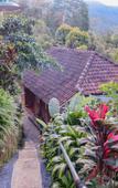 Туры в отель Puri Sunny Guesthouse Туры в отель Puri Sunny Guesthouse