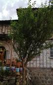 Туры в отель Hotel Lazlakar Туры в отель Hotel Lazlakar