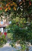 Туры в отель Hotel Lazlakar Туры в отель Hotel Lazlakar