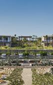 Туры в отель Four Seasons Resort Los Cabos at Costa Palmas Туры в отель Four Seasons Resort Los Cabos at Costa Palmas