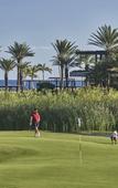 Туры в отель Four Seasons Resort Los Cabos at Costa Palmas Туры в отель Four Seasons Resort Los Cabos at Costa Palmas