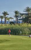 Туры в отель Four Seasons Resort Los Cabos at Costa Palmas Туры в отель Four Seasons Resort Los Cabos at Costa Palmas