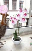 Туры в отель Barcelona Bed & Breakfast Туры в отель Barcelona Bed & Breakfast
