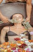 Туры в отель Era Hotel & SPA Tulum Туры в отель Era Hotel & SPA Tulum