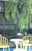 Туры в отель Yamyen Hostel Туры в отель Yamyen Hostel