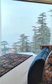 Туры в отель Royale Retreat Hotel & Spa Near Mall Road Туры в отель Royale Retreat Hotel & Spa Near Mall Road