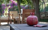 Туры в отель Totelya Hotel (Adults Only) Туры в отель Totelya Hotel (Adults Only)