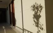 Туры в отель Totelya Hotel (Adults Only) Туры в отель Totelya Hotel (Adults Only)