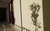 Туры в отель Totelya Hotel (Adults Only) Туры в отель Totelya Hotel (Adults Only)