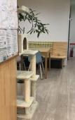 Туры в отель Itoshima guesthouse & backpackers TOMO - Hostel Туры в отель Itoshima guesthouse & backpackers TOMO - Hostel